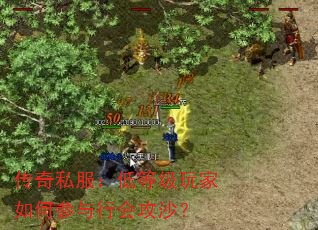 传奇私服:低等级玩家如何参与行会攻沙? 传奇私服:低等级玩家如何参与行会攻沙?