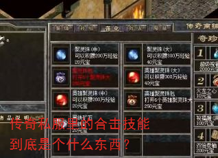 传奇私服里的合击技能到底是个什么东西? 传奇私服里的合击技能到底是个什么东西?