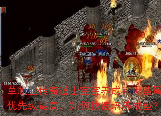 单职业传奇道士宝宝养成:哪些属性优先级最高,如何快速培养成型? 单职业传奇道士宝宝养成:哪些属性优先级最高,如何快速培养成型?
