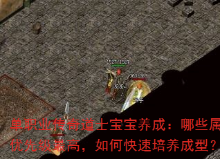 单职业传奇道士宝宝养成:哪些属性优先级最高,如何快速培养成型? 单职业传奇道士宝宝养成:哪些属性优先级最高,如何快速培养成型?