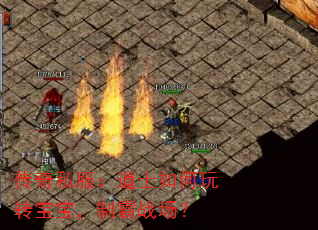 传奇私服:道士如何玩转宝宝,制霸战场? 传奇私服:道士如何玩转宝宝,制霸战场?
