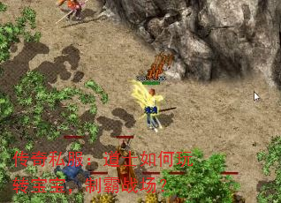 传奇私服:道士如何玩转宝宝,制霸战场? 传奇私服:道士如何玩转宝宝,制霸战场?