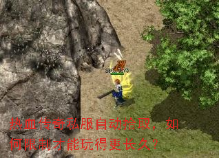 热血传奇私服自动拾取,如何限制才能玩得更长久? 热血传奇私服自动拾取,如何限制才能玩得更长久?