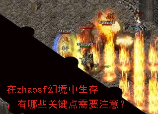 在zhaosf幻境中生存,有哪些关键点需要注意? 在zhaosf幻境中生存,有哪些关键点需要注意?