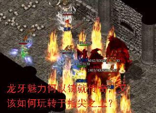 龙牙魅力何以铸就传奇,又该如何玩转于指尖之上? 龙牙魅力何以铸就传奇,又该如何玩转于指尖之上?