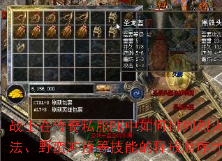 战士在传奇私服PK中如何排列烈火剑法、逐日剑法、野蛮冲撞等技能的释放顺序才能最大化输出? 战士在传奇私服PK中如何排列烈火剑法、逐日剑法、野蛮冲撞等技能的释放顺序才能最大化输出?