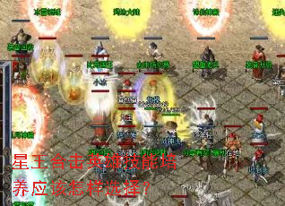 星王合击英雄技能培养应该怎样选择? 星王合击英雄技能培养应该怎样选择?