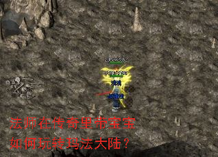 法师在传奇里带宝宝如何玩转玛法大陆? 法师在传奇里带宝宝如何玩转玛法大陆?