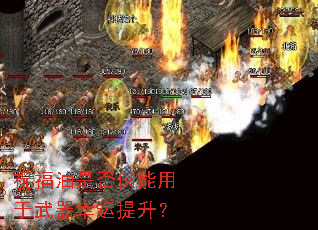 祝福油是否仅能用于武器幸运提升? 祝福油是否仅能用于武器幸运提升?
