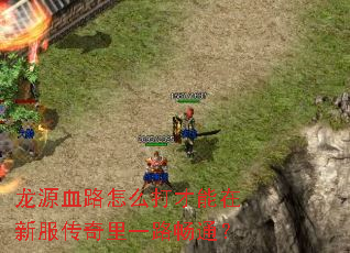 龙源血路怎么打才能在新服传奇里一路畅通? 龙源血路怎么打才能在新服传奇里一路畅通?