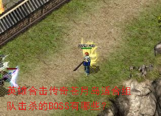 英雄合击传奇苍月岛适合组队击杀的BOSS有哪些? 英雄合击传奇苍月岛适合组队击杀的BOSS有哪些?