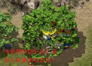 传奇想快速升级?这套方案真的有效吗? 传奇想快速升级?这套方案真的有效吗?