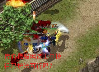 传奇找服网道士单挑祖玛护法可行吗? 传奇找服网道士单挑祖玛护法可行吗?