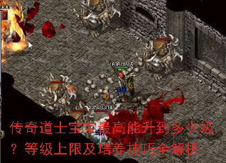 传奇道士宝宝最高能升到多少级?等级上限及培养技巧全解析 传奇道士宝宝最高能升到多少级?等级上限及培养技巧全解析