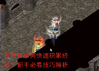 聚灵珠如何快速积累经验?新手必看技巧解析 聚灵珠如何快速积累经验?新手必看技巧解析