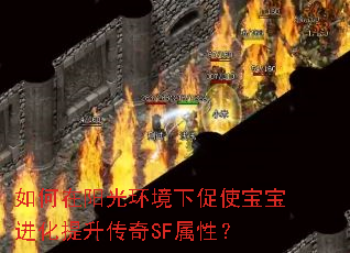 如何在阳光环境下促使宝宝进化提升传奇SF属性? 如何在阳光环境下促使宝宝进化提升传奇SF属性?
