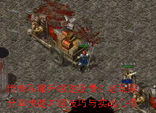 传奇私服升级速度慢?老玩家分享快速冲级技巧与实战心得 传奇私服升级速度慢?老玩家分享快速冲级技巧与实战心得