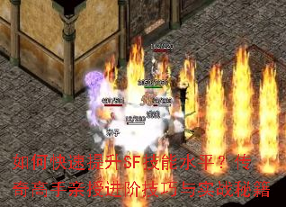 如何快速提升SF技能水平?传奇高手亲授进阶技巧与实战秘籍 如何快速提升SF技能水平?传奇高手亲授进阶技巧与实战秘籍