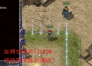 如何快速将1只20W经验宝宝练到满级? 如何快速将1只20W经验宝宝练到满级?