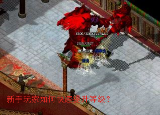 新手玩家如何快速提升等级? 新手玩家如何快速提升等级?