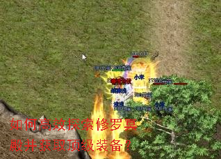 如何高效探索修罗冥殿并获取顶级装备? 如何高效探索修罗冥殿并获取顶级装备?