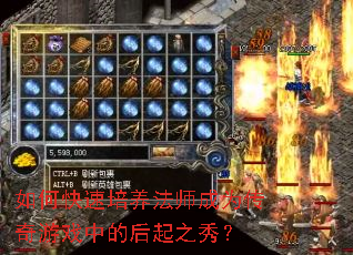 如何快速培养法师成为传奇游戏中的后起之秀? 如何快速培养法师成为传奇游戏中的后起之秀?