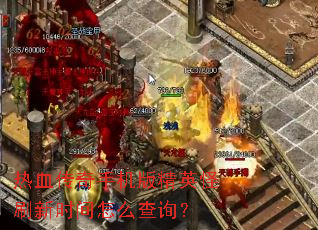 热血传奇手机版精英怪刷新时间怎么查询? 热血传奇手机版精英怪刷新时间怎么查询?
