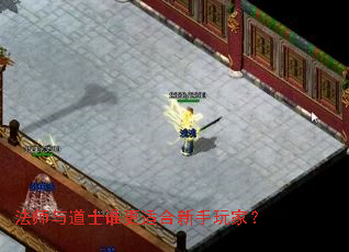 法师与道士谁更适合新手玩家? 法师与道士谁更适合新手玩家?
