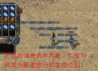在弱肉强食的世界里,仁慈为何成为最难修行的生存法则? 在弱肉强食的世界里,仁慈为何成为最难修行的生存法则?