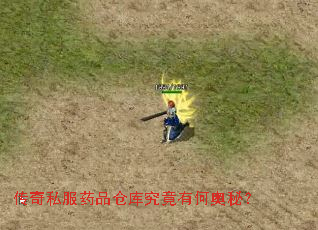 传奇私服药品仓库究竟有何奥秘? 传奇私服药品仓库究竟有何奥秘?