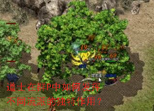 道士在群P中如何发挥不同流派的独特作用? 道士在群P中如何发挥不同流派的独特作用?