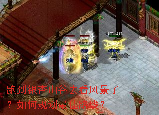 跑到银杏山谷去看风景了?如何规划最佳路线? 跑到银杏山谷去看风景了?如何规划最佳路线?