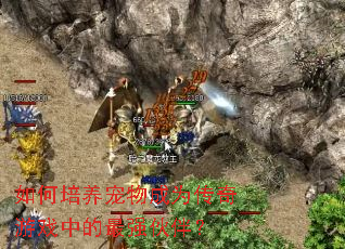 如何培养宠物成为传奇游戏中的最强伙伴? 如何培养宠物成为传奇游戏中的最强伙伴?