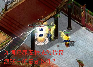 如何培养宠物成为传奇游戏中的最强伙伴? 如何培养宠物成为传奇游戏中的最强伙伴?