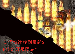如何快速找到最新SF传奇开服网站? 如何快速找到最新SF传奇开服网站?