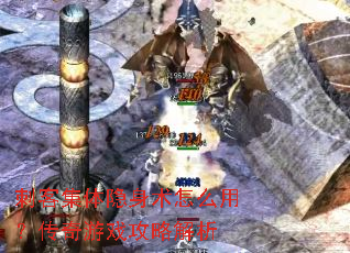 刺客集体隐身术怎么用?传奇游戏攻略解析 刺客集体隐身术怎么用?传奇游戏攻略解析