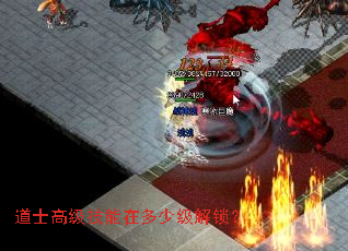 道士高级技能在多少级解锁? 道士高级技能在多少级解锁?