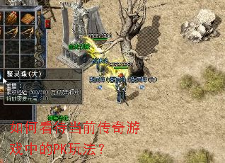 如何看待当前传奇游戏中的PK玩法? 如何看待当前传奇游戏中的PK玩法?