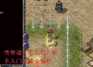 传奇道士怎么玩?新手入门攻略全解析 传奇道士怎么玩?新手入门攻略全解析