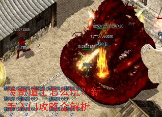 传奇道士怎么玩?新手入门攻略全解析 传奇道士怎么玩?新手入门攻略全解析