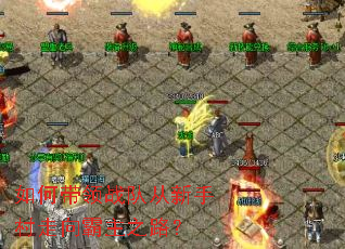 如何带领战队从新手村走向霸主之路? 如何带领战队从新手村走向霸主之路?
