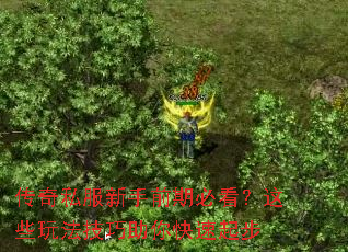 传奇私服新手前期必看?这些玩法技巧助你快速起步 传奇私服新手前期必看?这些玩法技巧助你快速起步