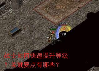 战士如何快速提升等级?关键要点有哪些? 战士如何快速提升等级?关键要点有哪些?