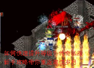 如何快速提升等级?传奇私服新手攻略带你重返激情岁月 如何快速提升等级?传奇私服新手攻略带你重返激情岁月