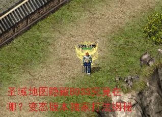 圣域地图隐藏BOSS究竟在哪?变态版本独家打法揭秘 圣域地图隐藏BOSS究竟在哪?变态版本独家打法揭秘