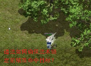道法如何确保法术锁定前精准命中目标? 道法如何确保法术锁定前精准命中目标?