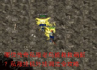 哪位传奇私服老鸟能救救萌新?私服挂机外挂调法全攻略 哪位传奇私服老鸟能救救萌新?私服挂机外挂调法全攻略