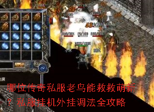 哪位传奇私服老鸟能救救萌新?私服挂机外挂调法全攻略 哪位传奇私服老鸟能救救萌新?私服挂机外挂调法全攻略