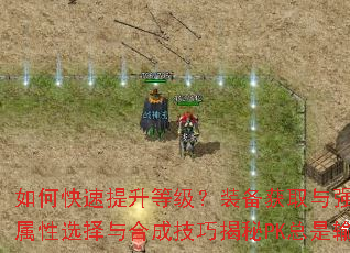 如何快速提升等级?装备获取与强化全解析如何打造极品装备?属性选择与合成技巧揭秘PK总是输?职业克制与实战走位教学 如何快速提升等级?装备获取与强化全解析如何打造极品装备?属性选择与合成技巧揭秘PK总是输?职业克制与实战走位教学
