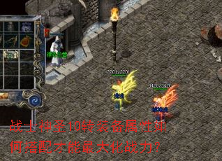 战士神圣10转装备属性如何搭配才能最大化战力? 战士神圣10转装备属性如何搭配才能最大化战力?